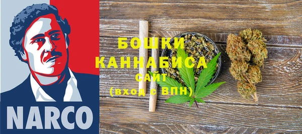 PSILOCYBIN Армянск