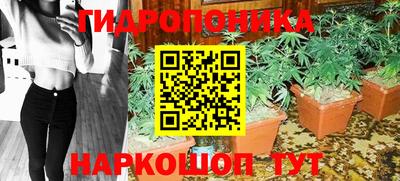 mdpv Кандалакша