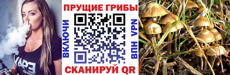 Псилоцибиновые грибы прущие грибы Валуйки